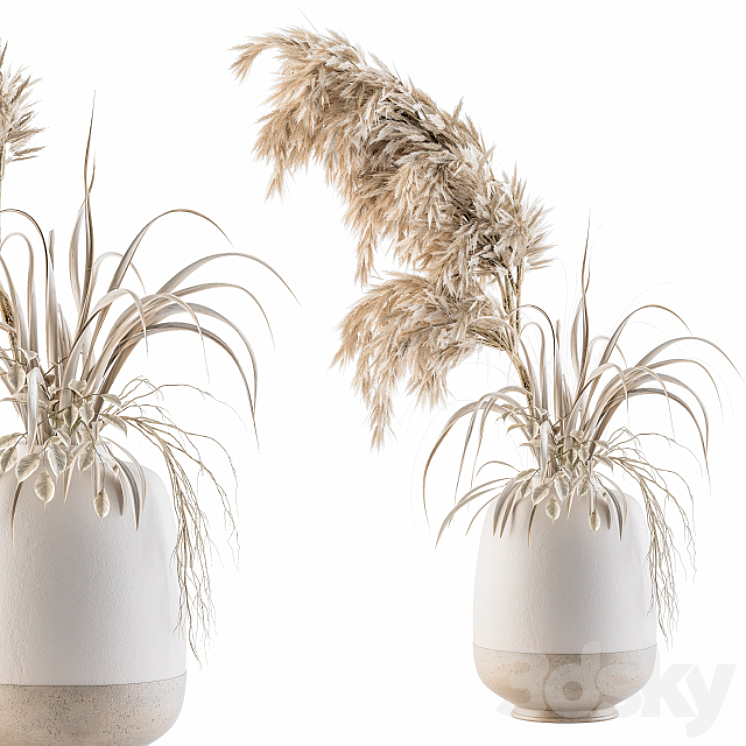 Dry plants 21 3DS Max - thumbnail 2