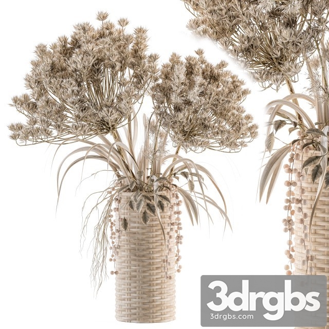 Dry Plants 22 3dsmax Download - thumbnail 1