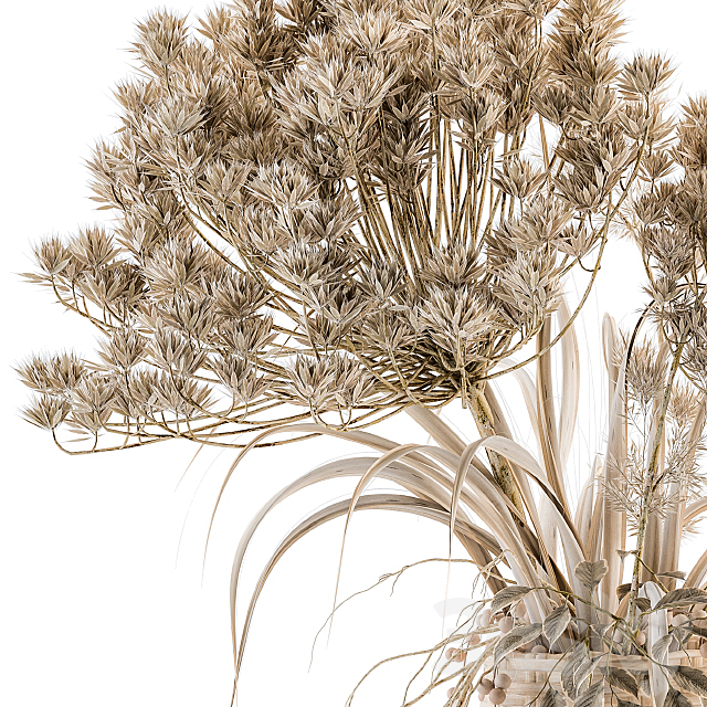 Dry plants 22 – dried Bouquet in Wicker Basket Vase 3DS Max Model - thumbnail 3