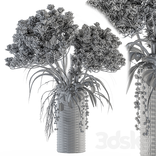 Dry plants 22 – dried Bouquet in Wicker Basket Vase 3DS Max Model - thumbnail 4