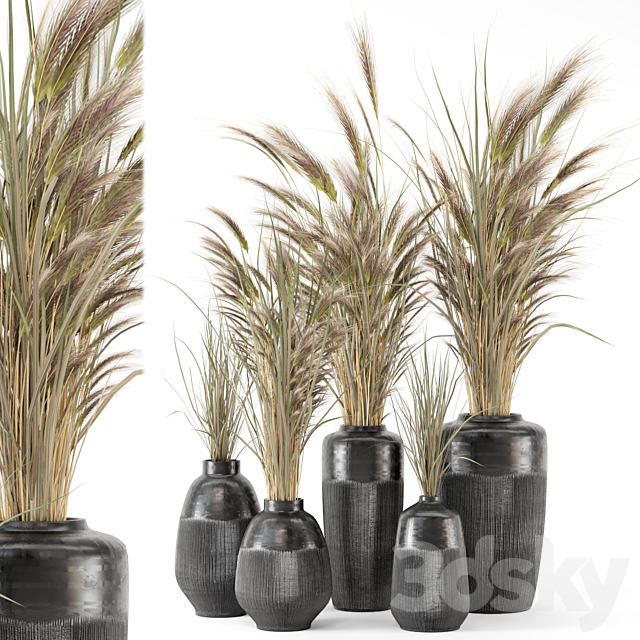 Dry plants 25 – Dried Plantset in handmade vase 3ds Max - thumbnail 1