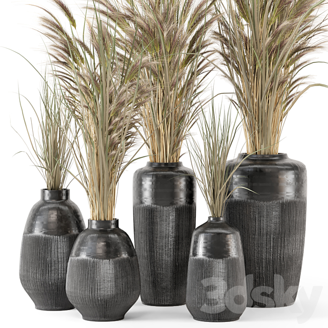 Dry plants 25 – Dried Plantset in handmade vase 3ds Max - thumbnail 2