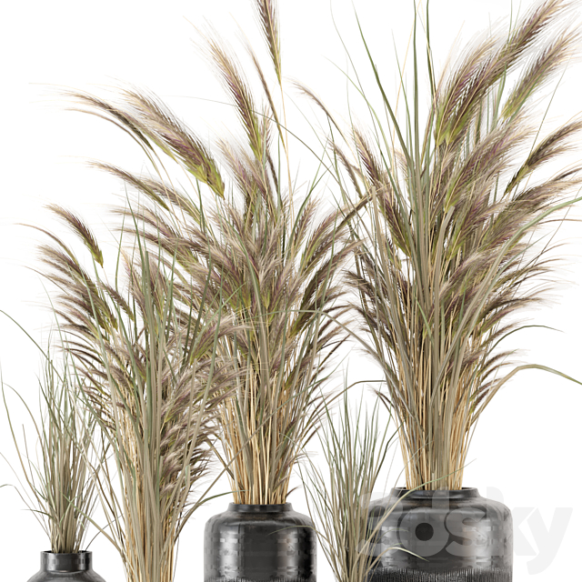 Dry plants 25 – Dried Plantset in handmade vase 3ds Max - thumbnail 3