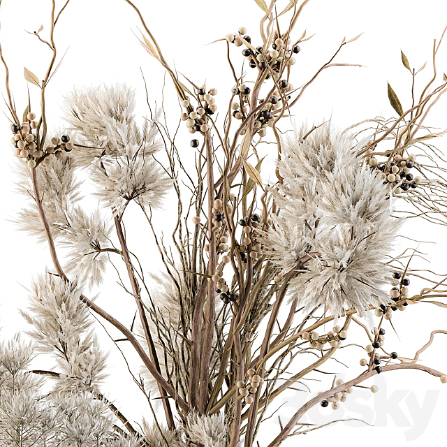 Dry plants 33 – Pampas and Dried Branch 3DS Max Model - thumbnail 2