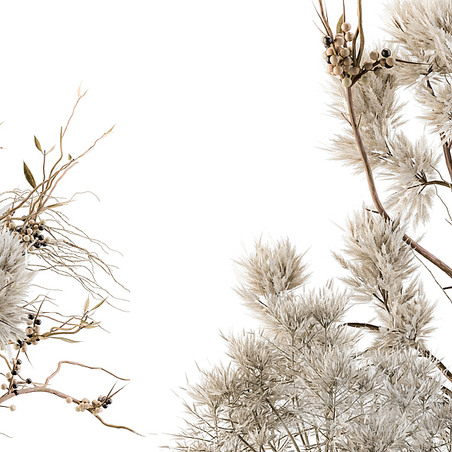 Dry plants 33 – Pampas and Dried Branch 3DS Max Model - thumbnail 4