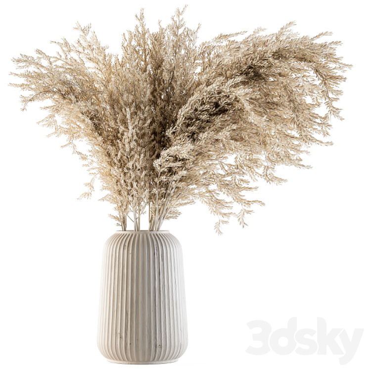 Dry plants 36 – Dried Plant Pampas 3DS Max - thumbnail 1