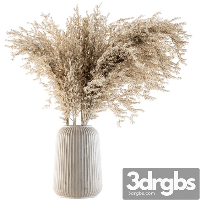 Dry plants 36 – dried plant pampas - thumbnail 1