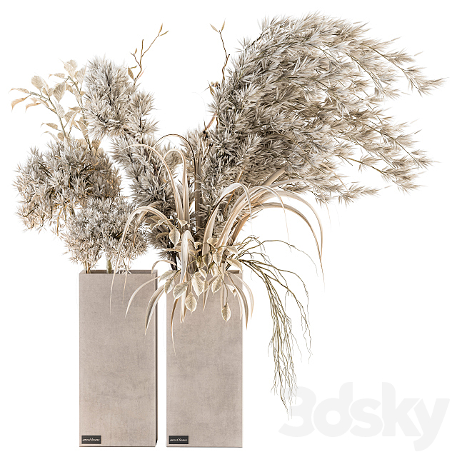 Dry plants 39 – Dried Plant Pampas 3DS Max Model - thumbnail 1