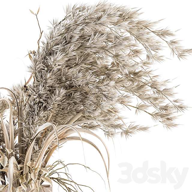 Dry plants 39 – Dried Plant Pampas 3DS Max Model - thumbnail 3