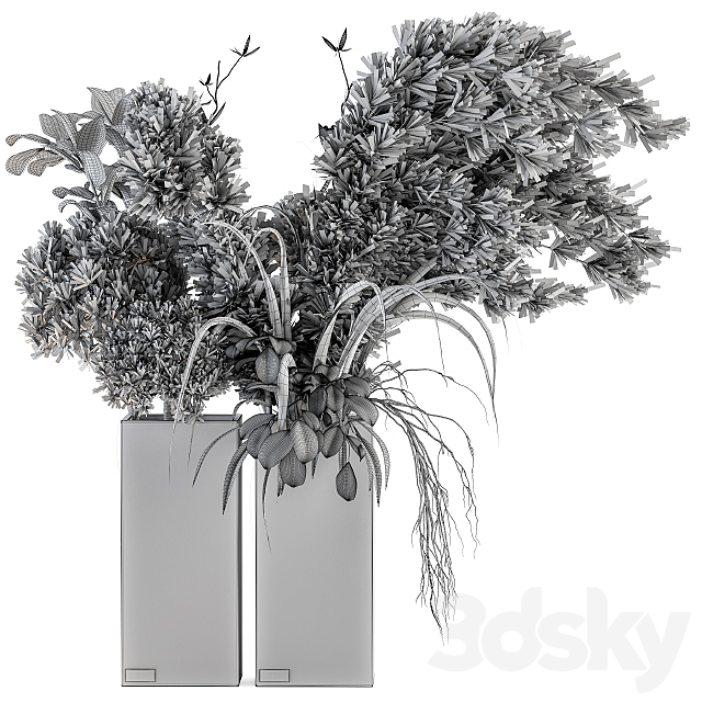 Dry plants 39 – Dried Plant Pampas 3DS Max Model - thumbnail 4