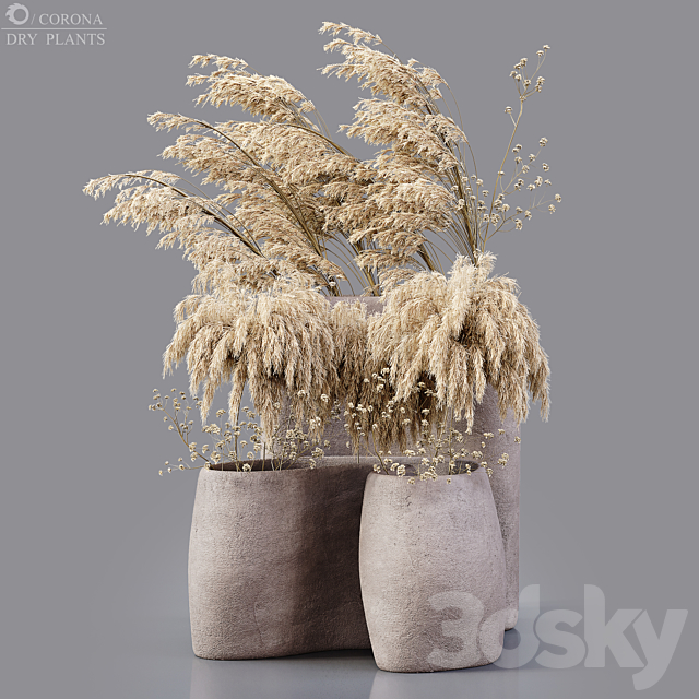 Dry plants 3ds Max - thumbnail 1