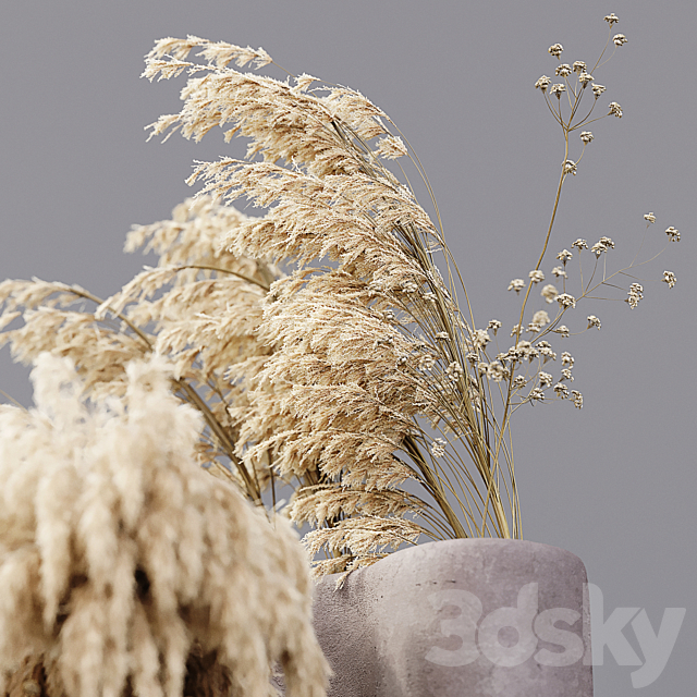 Dry plants 3ds Max - thumbnail 2