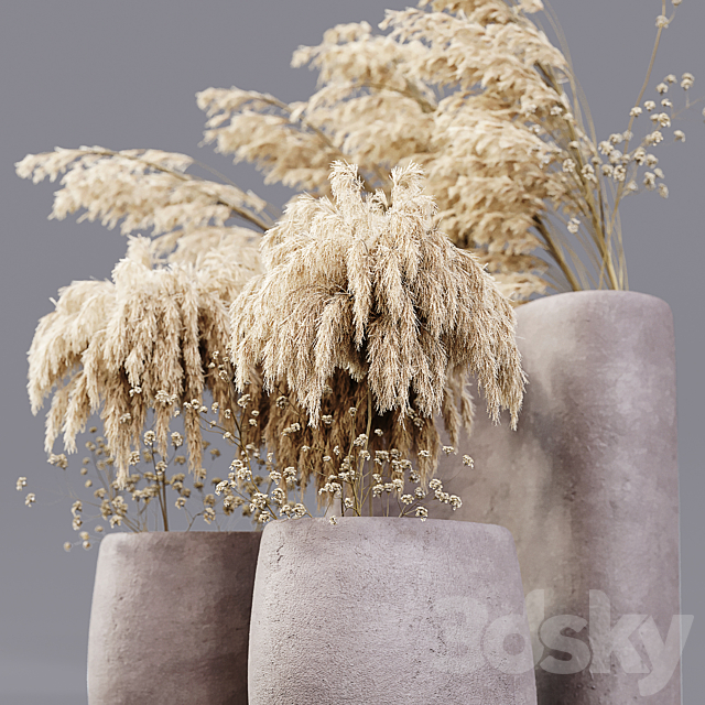 Dry plants 3ds Max - thumbnail 3