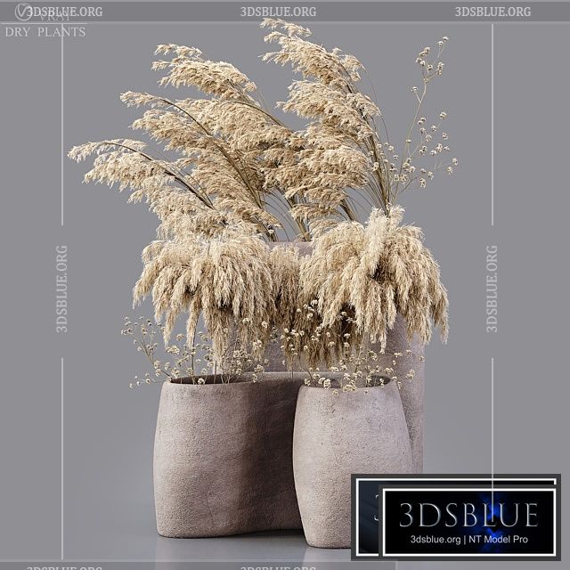 Dry plants 3DS Max - thumbnail 3