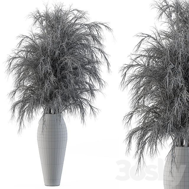 Dry plants 3DS Max Model - thumbnail 3