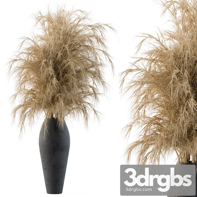 Dry Plants 3dsmax Download - thumbnail 1