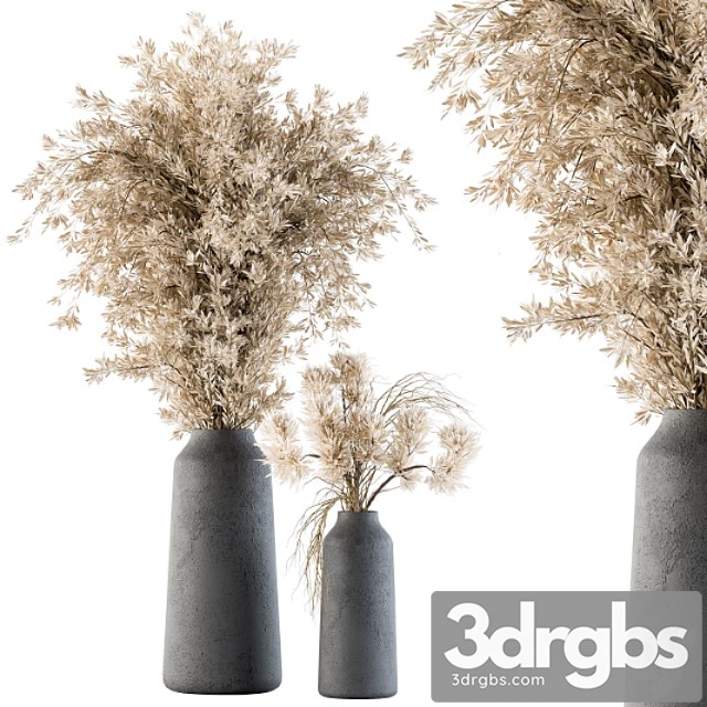 Dry plants 42 – dried plant pampas - thumbnail 1