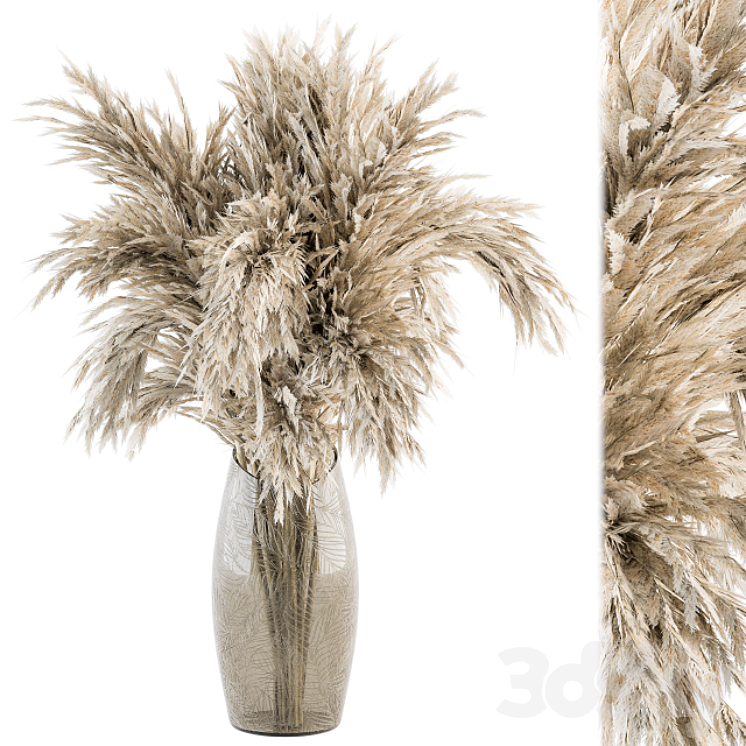 Dry plants 47 – Dried Plant Pampas Bouquet 3DS Max - thumbnail 1