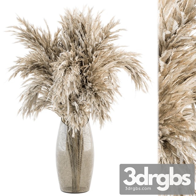 Dry plants 47 – dried plant pampas bouquet - thumbnail 1