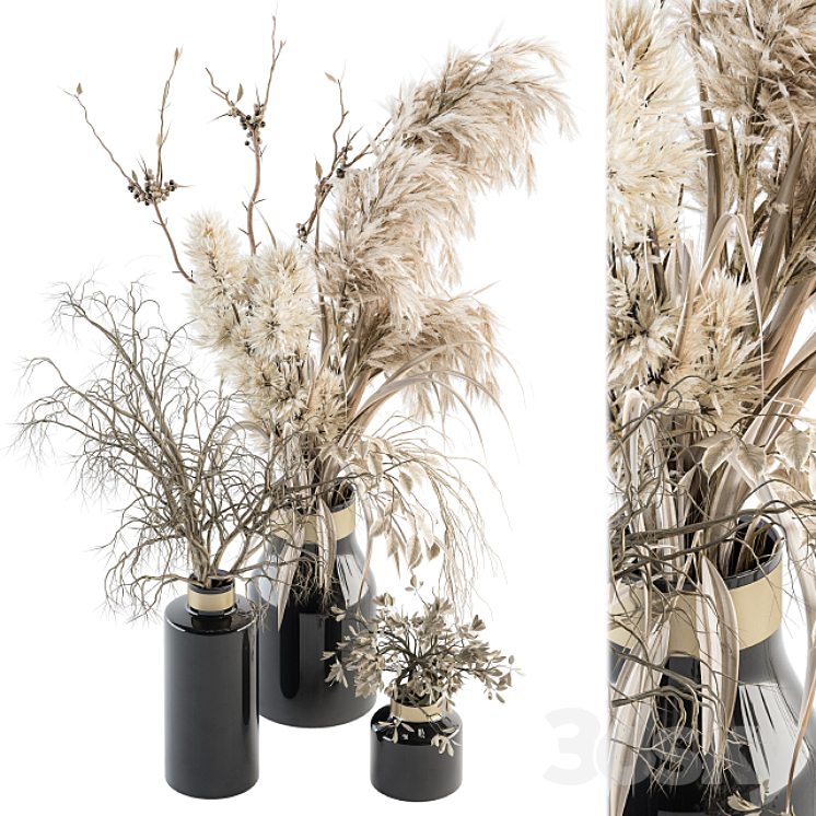 Dry plants 70 – Dried Pampas Set 3DS Max - thumbnail 1