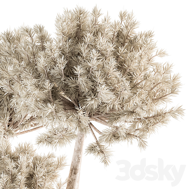 Dry plants 79 – Dried Plants in Black and Gold Vase 3DS Max Model - thumbnail 3