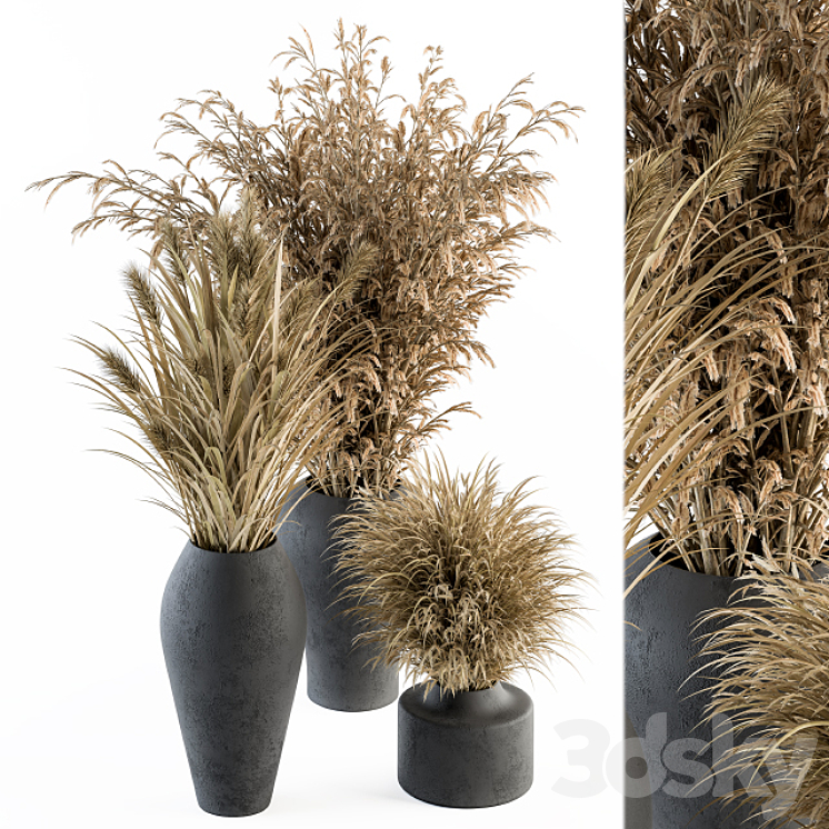 Dry plants 81 – Dried Plants Set 3DS Max - thumbnail 1