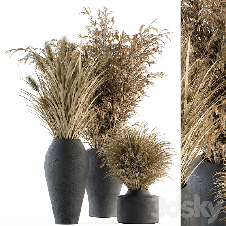 Dry plants 81 – Dried Plants Set 3DS Max - thumbnail 2