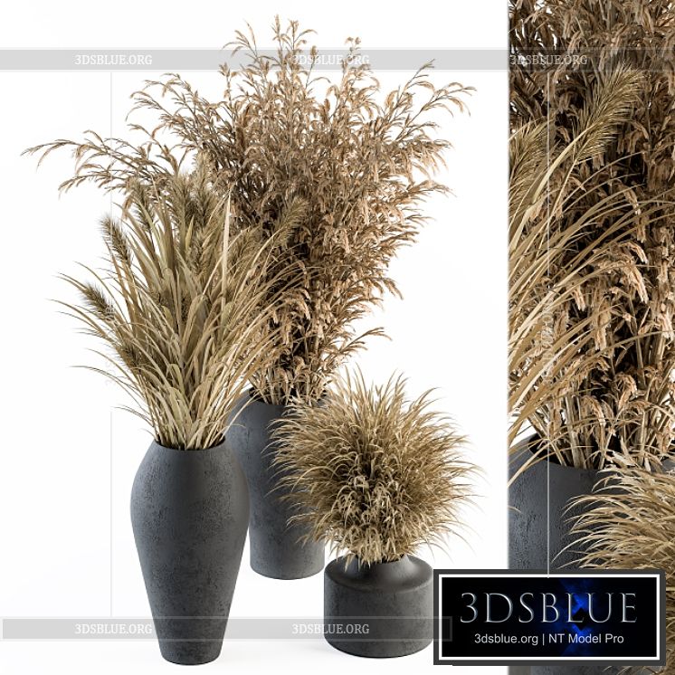 Dry plants 81 – Dried Plants Set 3DS Max - thumbnail 3