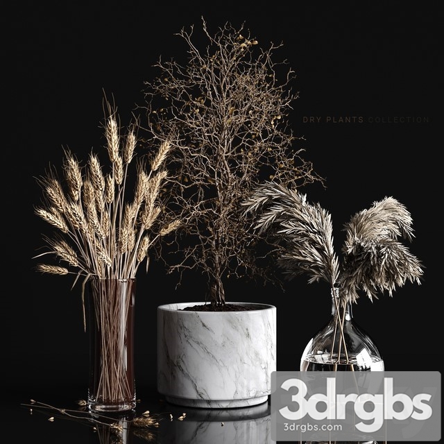 Dry Plants Collection 3dsmax Download - thumbnail 1