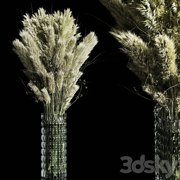 Dry Plants pampas Bouquet Indoor glass vase 3DS Max Model - thumbnail 1