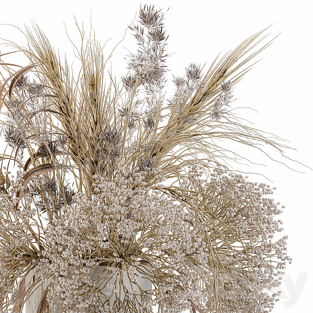 Dry Plants Set 08 3DSMax File - thumbnail 4