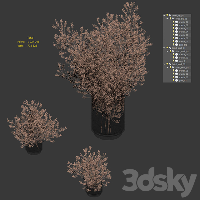 Dry plants set. 3 models 3DS Max Model - thumbnail 4