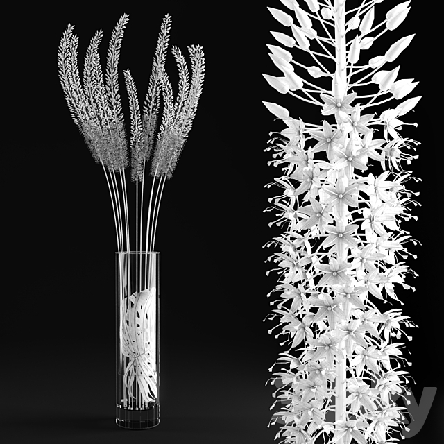 Eremurus _ Eremurus 3DSMax File - thumbnail 3