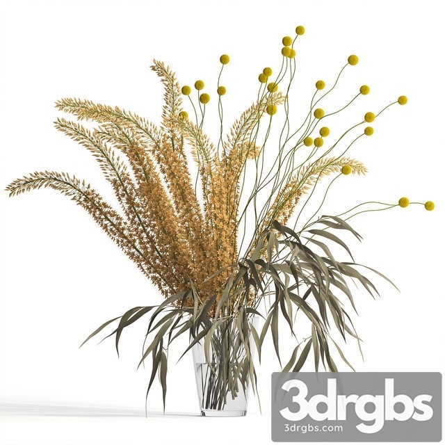 Eremurus Eucalyptus Craspedia Bouquet 3dsmax Download - thumbnail 1