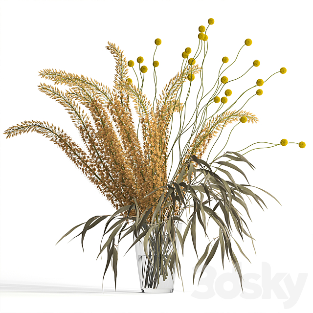 Eremurus & eucalyptus & craspedia bouquet 3DSMax File - thumbnail 1