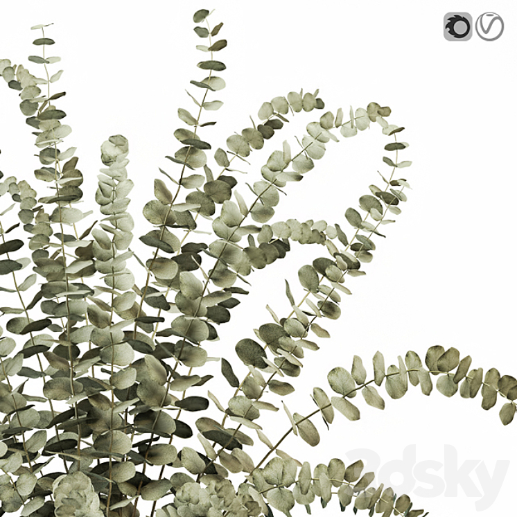 Eucalyptus 3 3DS Max - thumbnail 2