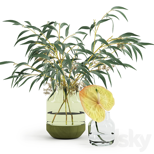 Eucalyptus & Anthurium in Muuto’s vases 3DSMax File - thumbnail 1