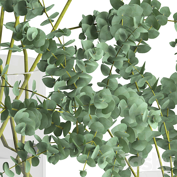 Eucalyptus Baby blue set 3DS Max - thumbnail 2