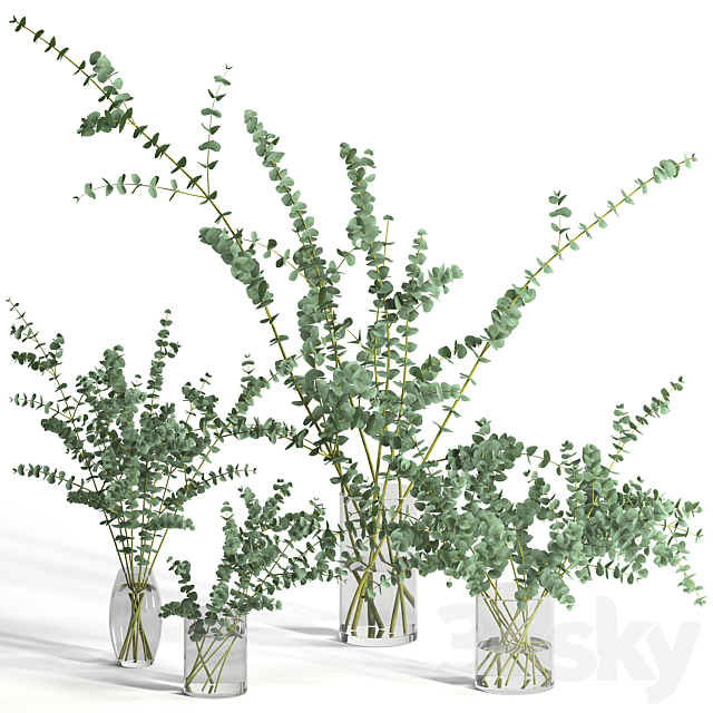 Eucalyptus Baby blue set 3DSMax File - thumbnail 1