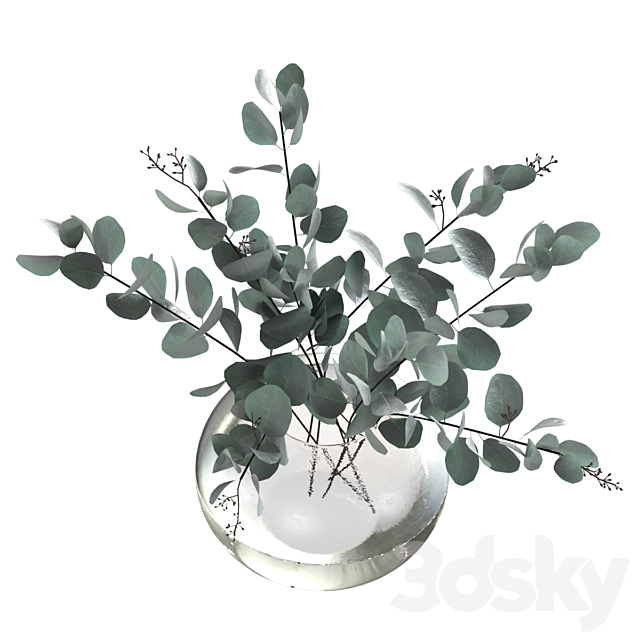 Eucalyptus bouquet 3ds Max - thumbnail 3