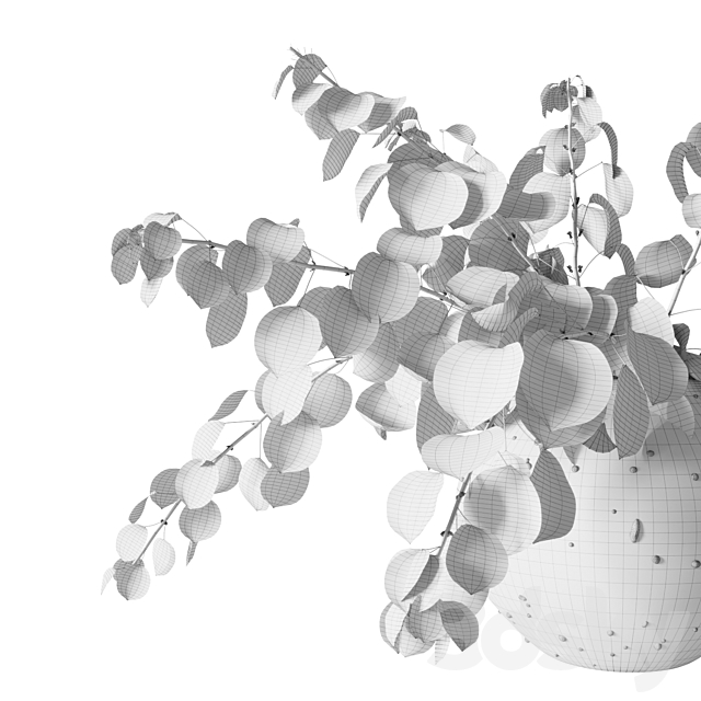 Eucalyptus bouquet 3DS Max Model - thumbnail 3