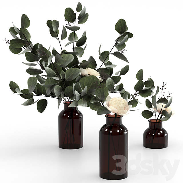 Eucalyptus bouquets 3DS Max Model - thumbnail 2