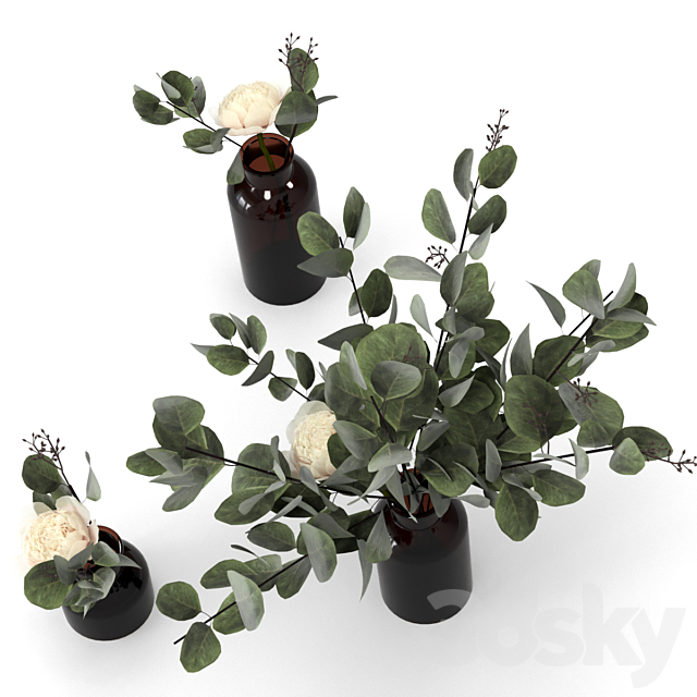 Eucalyptus bouquets 3DS Max Model - thumbnail 3