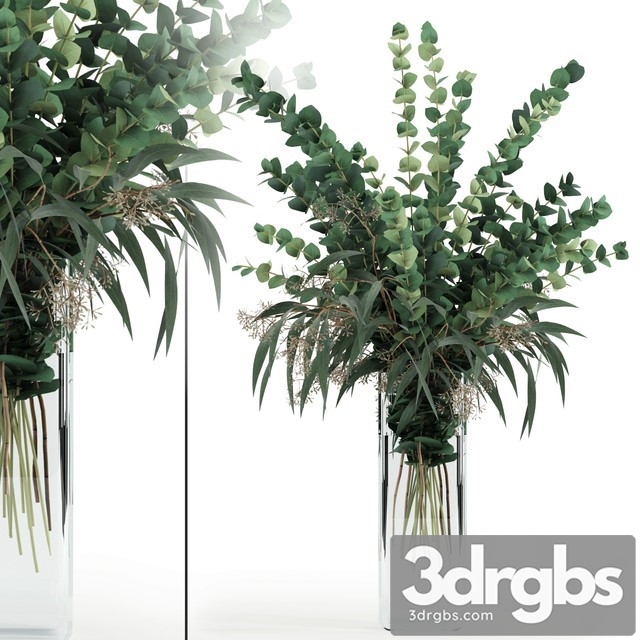 Eucalyptus in Tall Vase 3dsmax Download - thumbnail 1