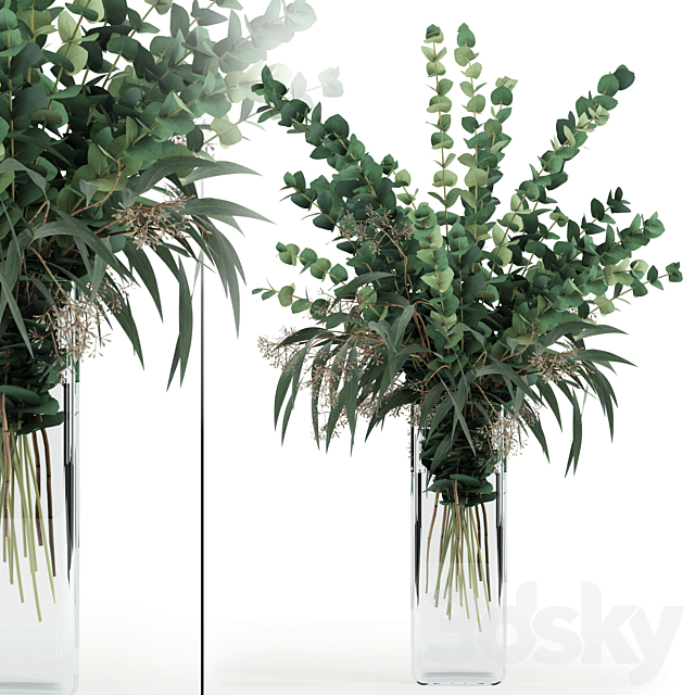 Eucalyptus in tall vase 3DSMax File - thumbnail 1