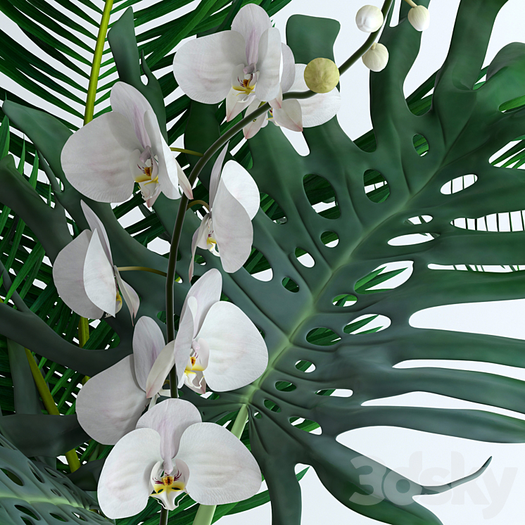 Exotic bouquet 3DS Max - thumbnail 2