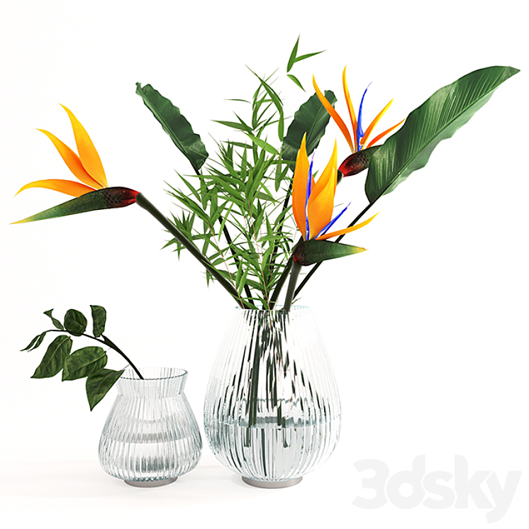 Exotic bouquet- strelitzia 3DS Max - thumbnail 1