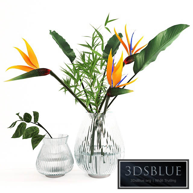 Exotic bouquet- strelitzia 3DS Max - thumbnail 3