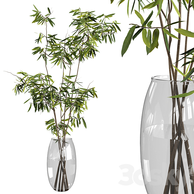 Ficus branches bouquet set 01 3DSMax File - thumbnail 1