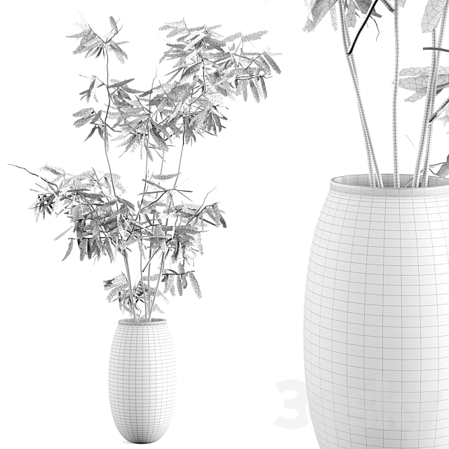 Ficus branches bouquet set 01 3DSMax File - thumbnail 2